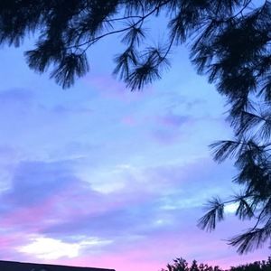 Meet your Posher, Mckenna